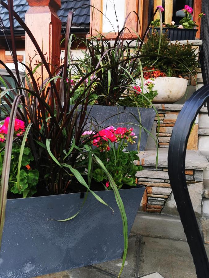 Gazdowa Homestay Poronin